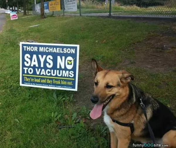 Say No To Vacuums