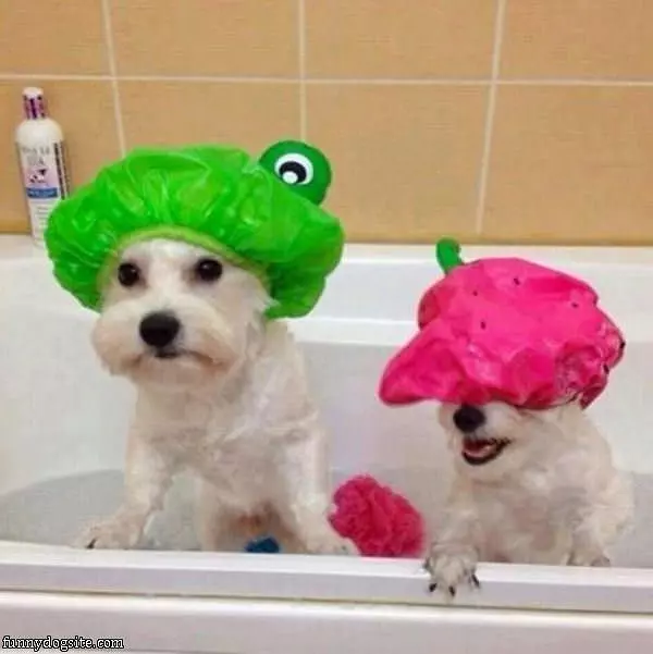 We Are Ready For Our Bath