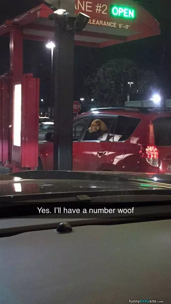 A Number Woof