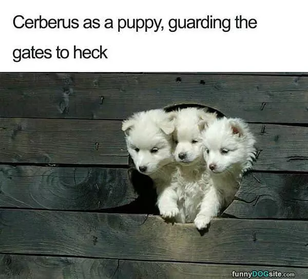 Guarding The Gates