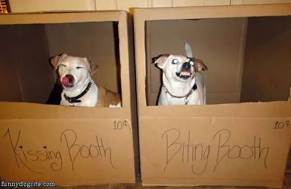 Dog Booths