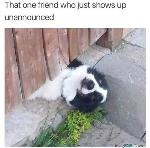 That One Friend