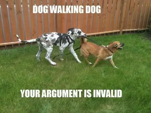 Dog Walking Dog