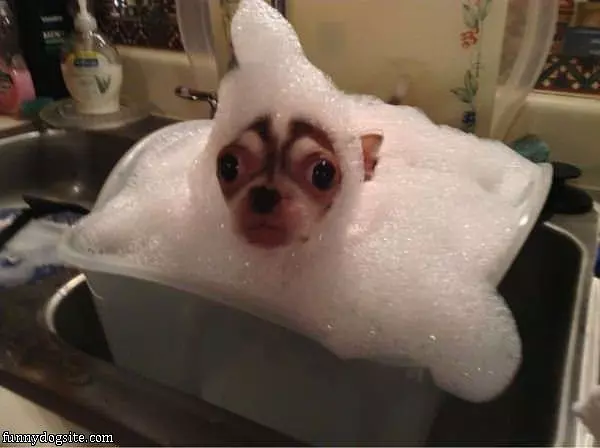 I Has A Bath