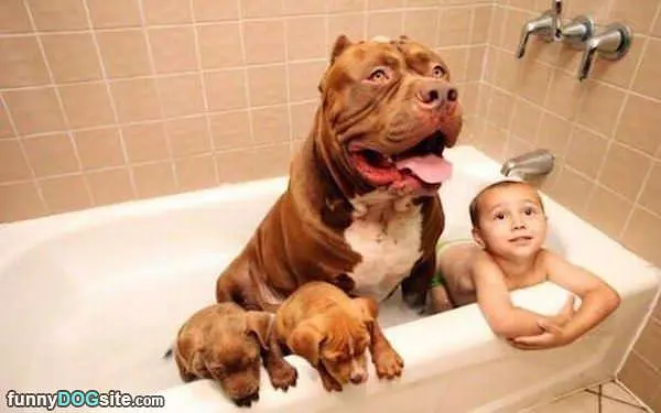 Whole Family Bath Time