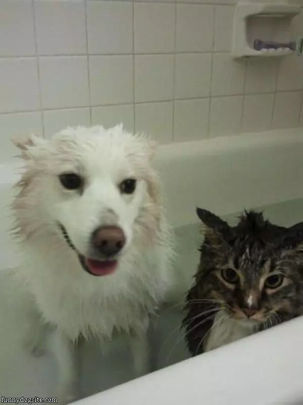 We Are Having Bath Time