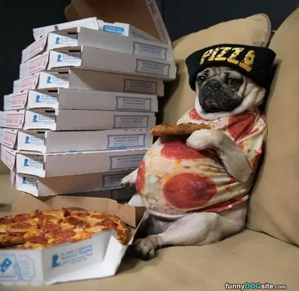 Pizza And Chill