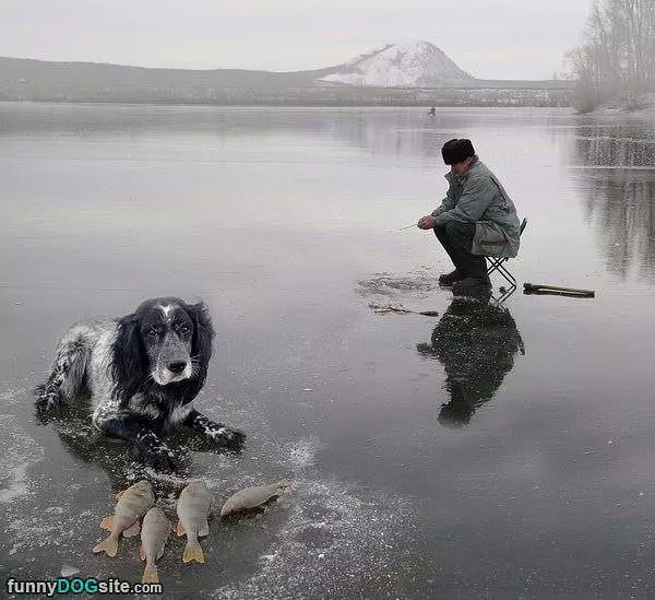 Helping With The Ice Fishing