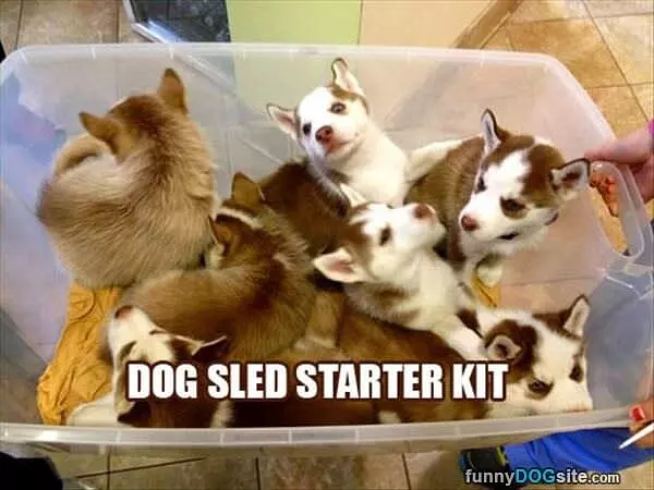 Dog Sled Kit