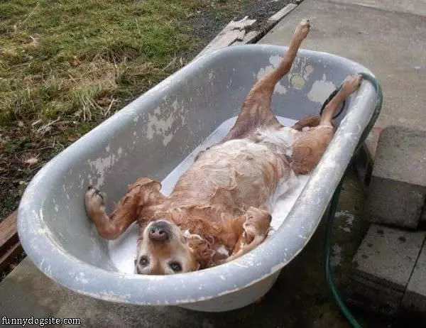 Taking A Bath Like A Boss