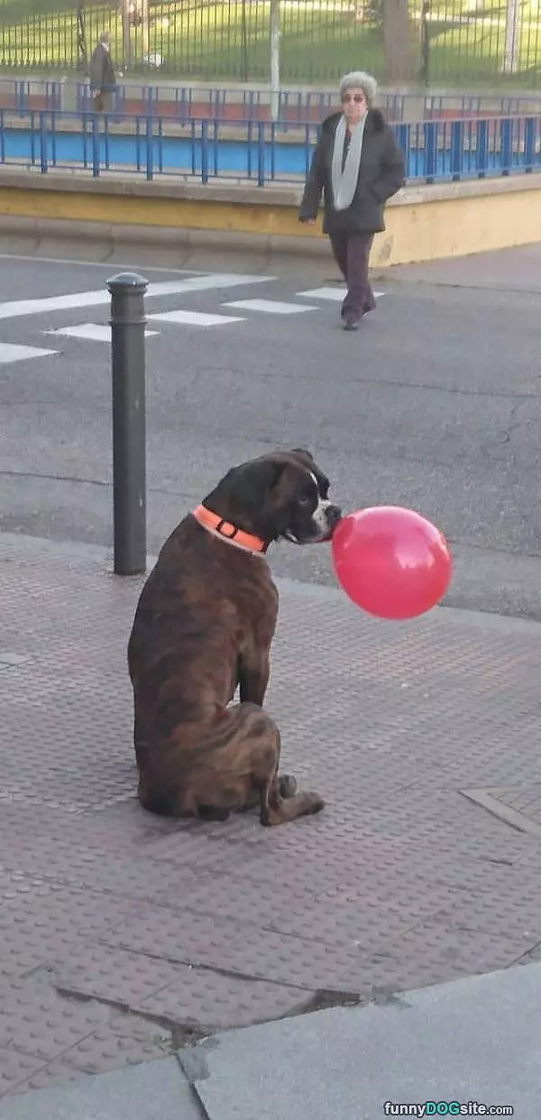 Holding The Balloon