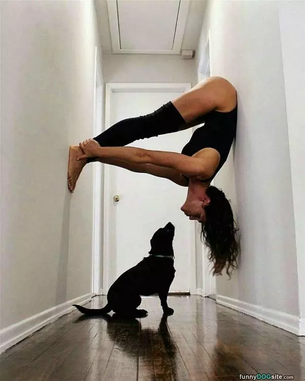 Some Interesting Yoga