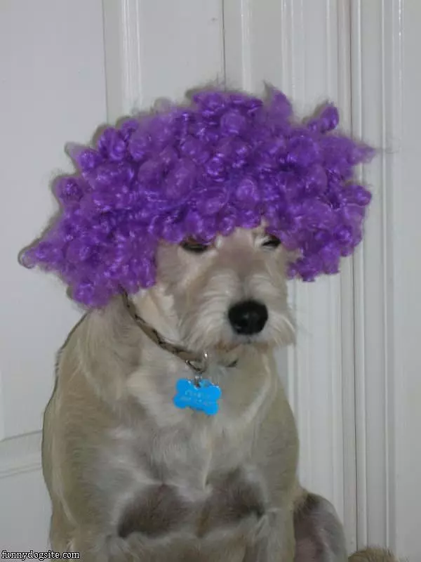 Charlie With Purple Afro