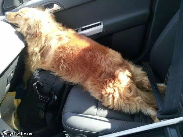 How I Relax When We Drive