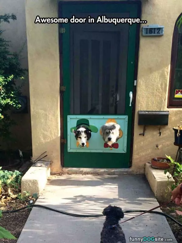 Awesome Dog Door