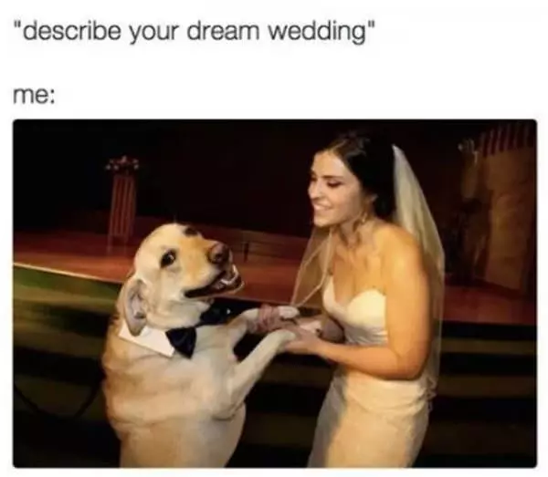 Describe Yoru Dream Wedding