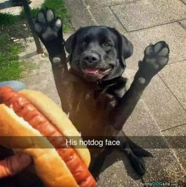 His Hot Dog Face
