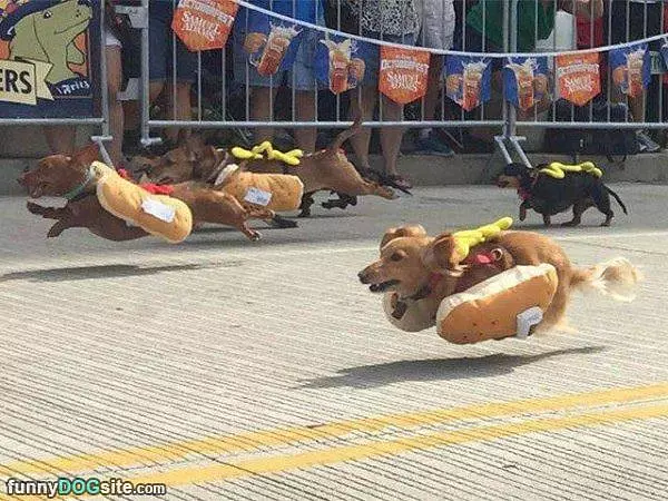 Hot Dog Race