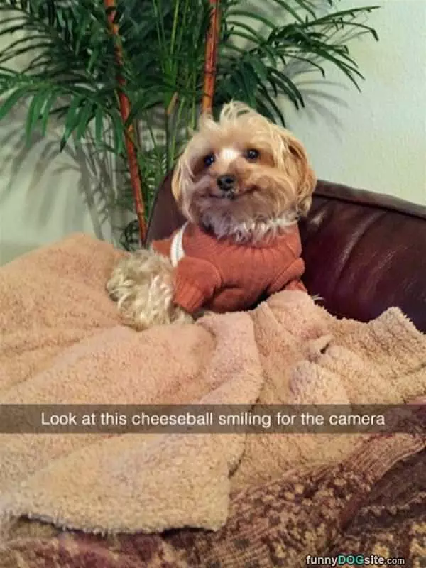 Smile For The Camera