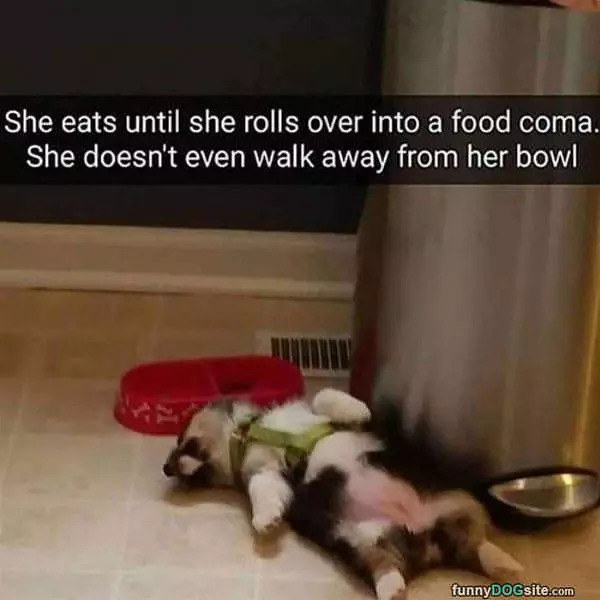 In A Little Food Coma