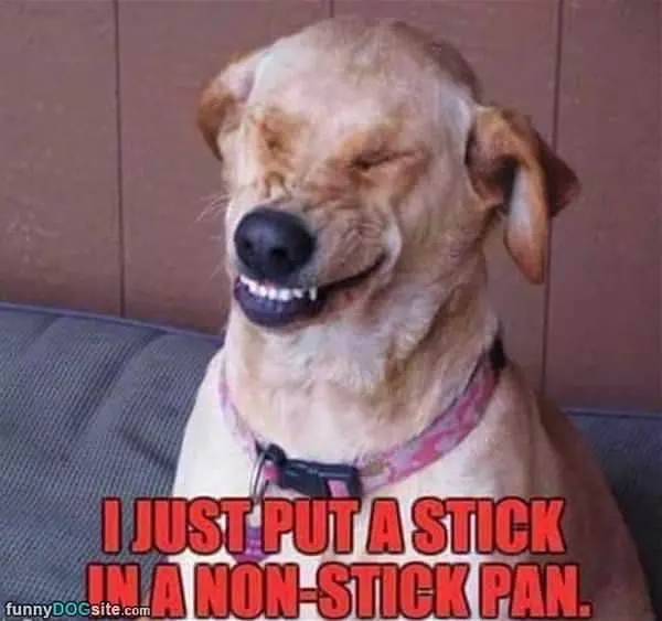 A Stick