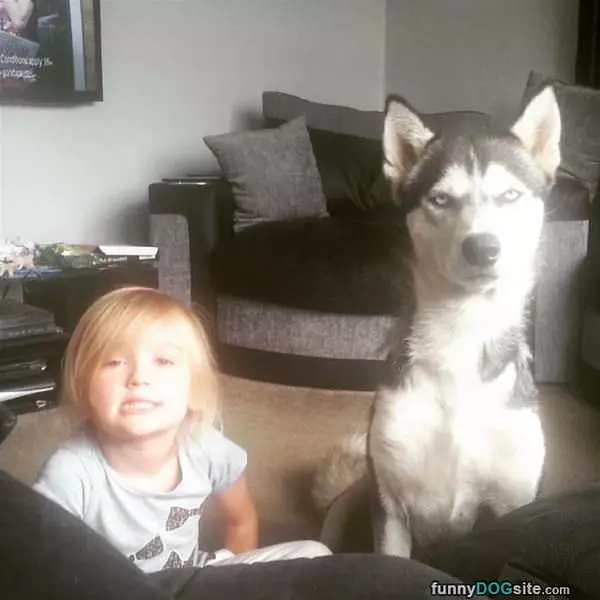 Dog Is Not Impressed