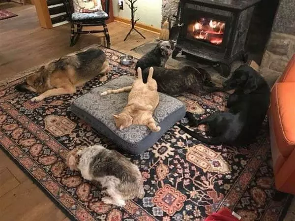 We Are All Staying Warm Here