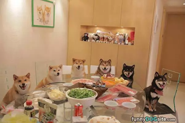 Hey Its Time For Dinner