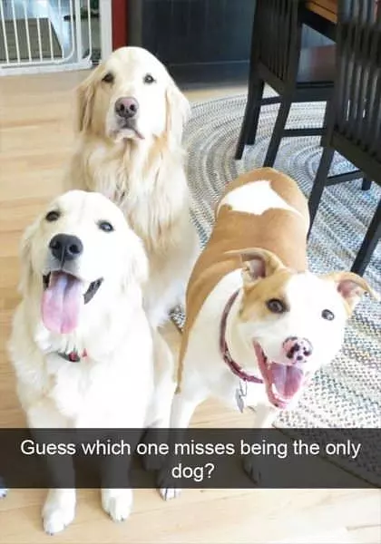 Which One Misses Being The Only
