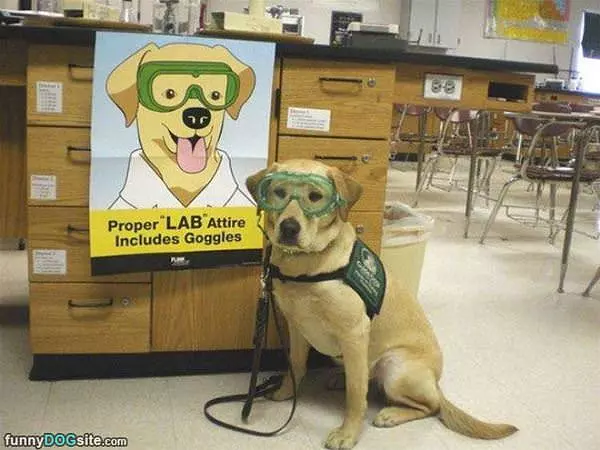 Proper Lab Attire