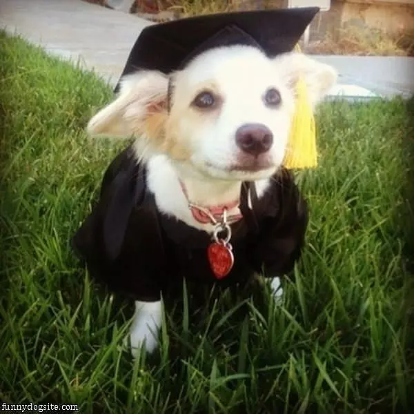 I Am Graduated