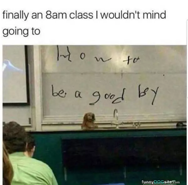 Finally A Good Class