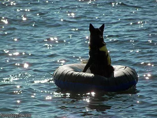 Zeus Rafting On Squam Lake