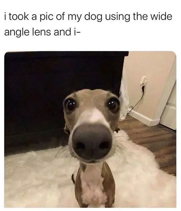 Wide Angle Lense