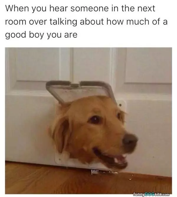 What A Good Boy You Are