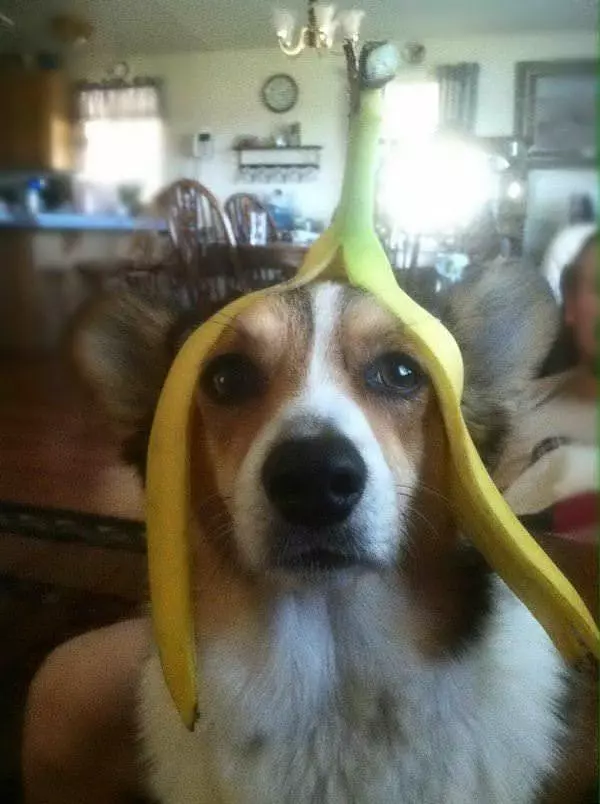 My Banana Hat