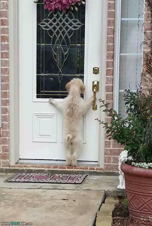 Hey Hey Let Me In