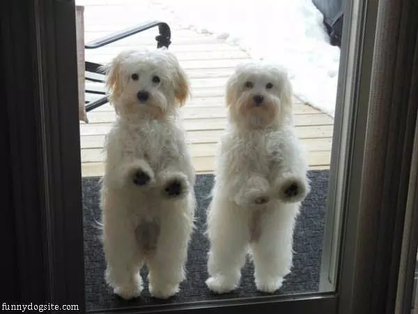 Can We Both Come In Now