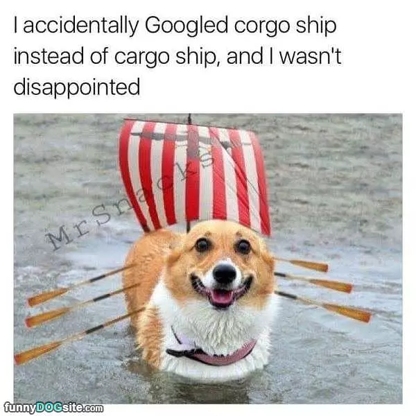 Corgi Ship