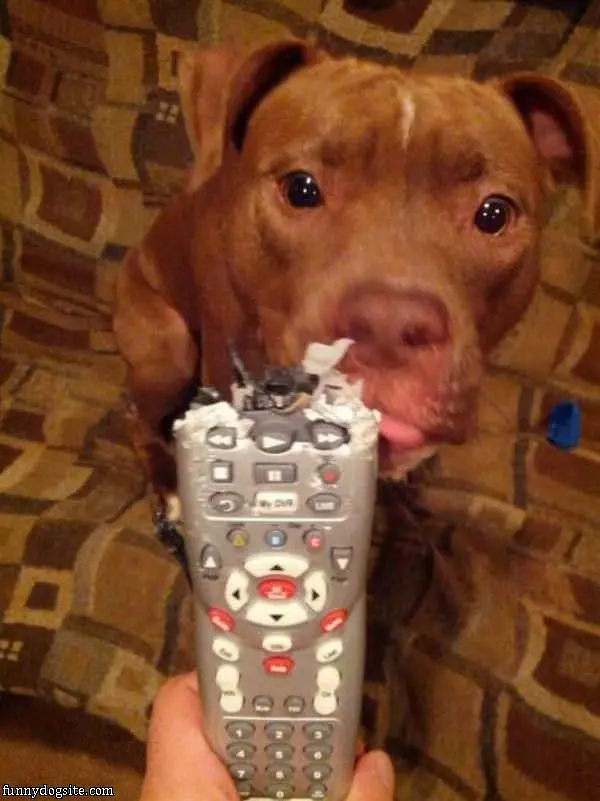 Fetched You The Remote