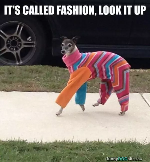 Called Fashion