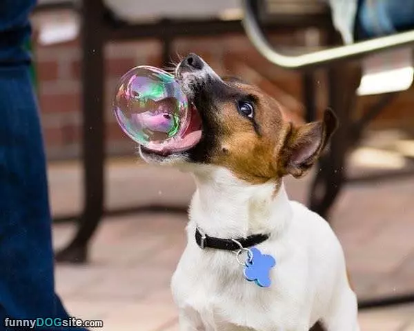 Eating Some Bubbles