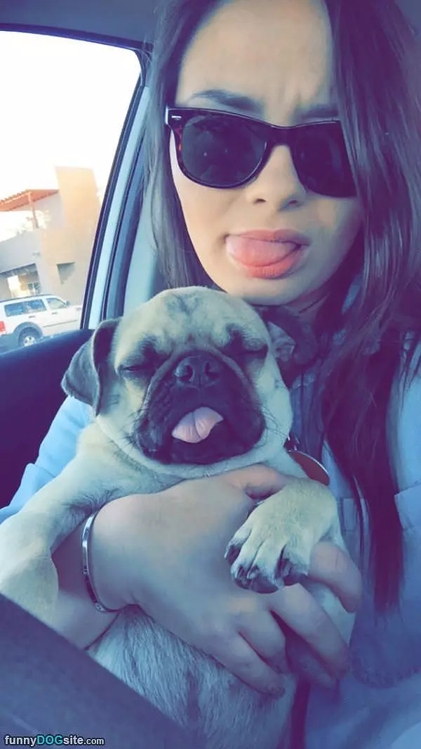 Tongues Out