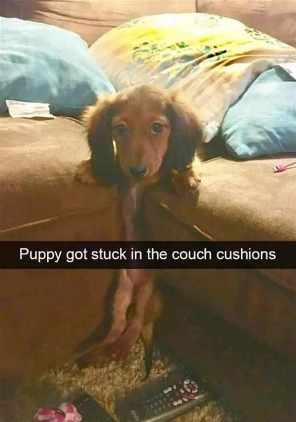 Got Stuck In The Couch