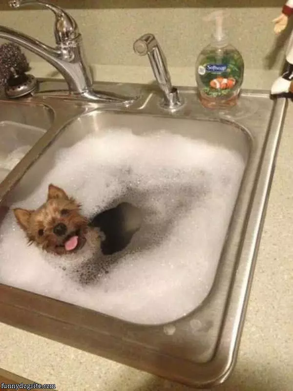 Just Getting A Bath