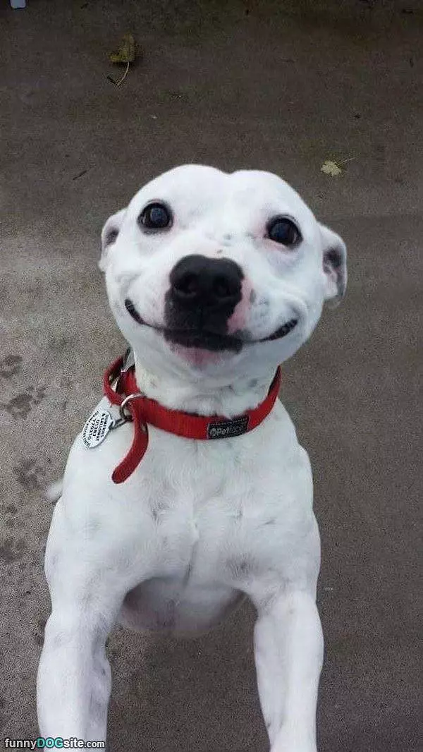 Having A Huge Smile