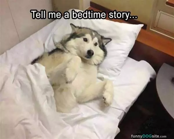Tell Me A Bedtime Story