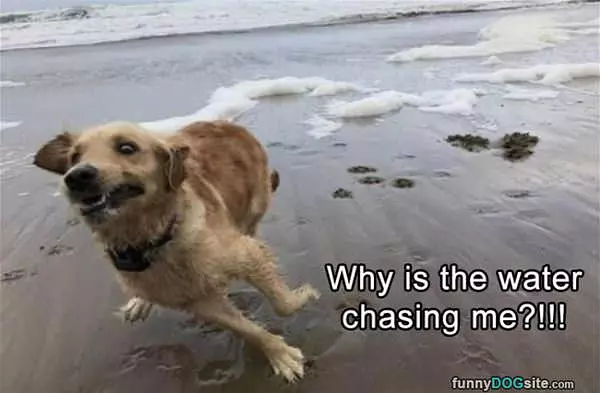 Why Is The Water Chasing Me
