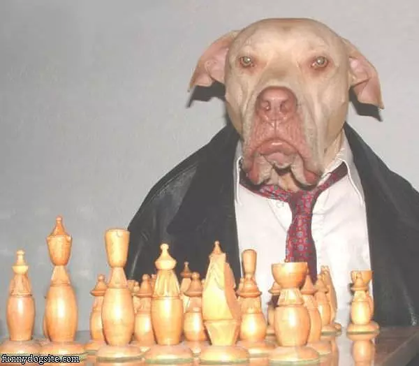 Serious Chess