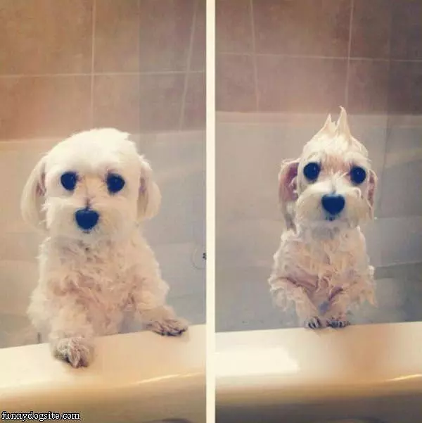 The Bath Changed Me